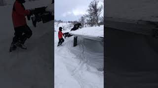 Life with a labrador | Black lab | Jaktlabrador #dogshorts#labradorretriever#dogs#funnydogs2021