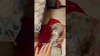 湖南鋼琴家教老師讓帶了6年的乖學生自己開門進家裡練琴, 不料付出慘重代價