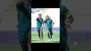 Nigeria Super Falcons vs South Africa | First Half Highlights