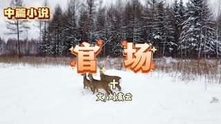 中篇小说《官场》十  文/刘震云#好文分享 #小说 #官场小说 #诵读经典作品 #文学