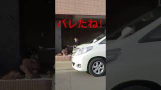 貝本会前で撮影してたら、完全にバレた話。 #貝本組 #六代目山口組 #山口組 #暴力団