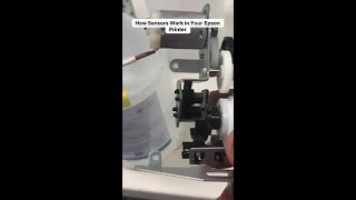 Unlock the Secrets of Your Epson Printer's Sensors!