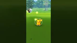 I got shiny pikachu in wild 😳😍 #pokémongo #games #gaming #youtuber #livestream #pokémongohighlights