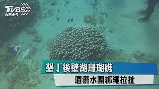 墾丁後壁湖珊瑚礁　遭潛水團綁繩拉扯