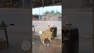 funny #comedy #youtube #cute #funnyvideos #sadstatus #instavideo #funnyshorts #smallyoutuber #funny