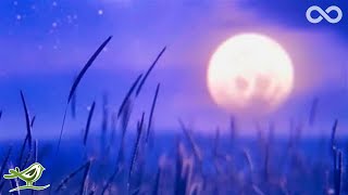 The Eagle: Deep & Relaxing Flute Music for Meditation, Yoga & Spa