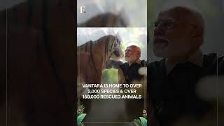 PM Modi Inaugurates Wildlife Centre at Vantara in Gujarat | Subscribe to Firstpost | N18G