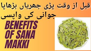 Sana Makki Ke Fawaid | Health Benefits Of Senna Leaves In Urdu Hindi | How To Use Sana Makki
