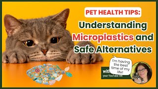 Microplastics and Your Pet: What You Need to Know (and How to Protect Them)
