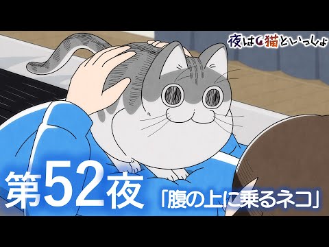 アニメ『夜は猫といっしょ』第52夜「腹の上に乗るネコ」