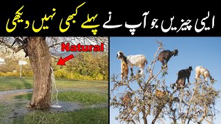 Things You Will See For The First Time | NYKI