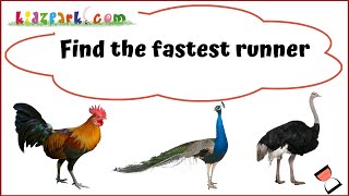 Educational Learning IQ Quiz for kids toddlers #KidsQuiz #toddler #kidsiq #kidslearningvideos