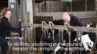 R4D best practice - 209A. Measuring youngstock