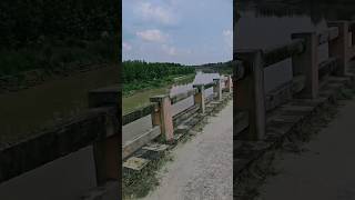 River pool #river #pani #pool #shorts #trendingshorts #viralshort #ytshorts