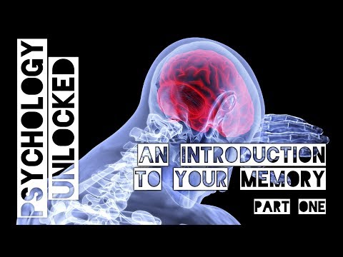 An Introduction to your Memory Lecture (Part One)