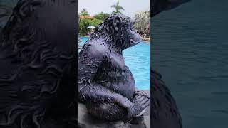 Febri's Hotel&Spa full tour - Kuta, Bali Indonesia 🇮🇩 #febris #bali #kuta #spa #hotel #indonesia