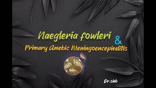 naegleria fowleri ( brain-eating amoeba )