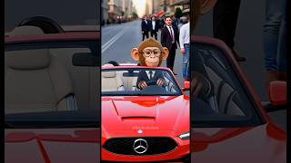 From Poor Monkey to Luxury Car Owner #monkeybaby #monkeylife #monkeylove