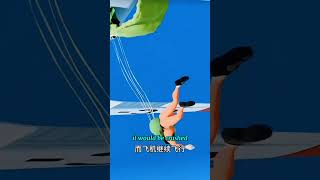 "It Got Stuck Under the Skin… And Then in the Sky!"