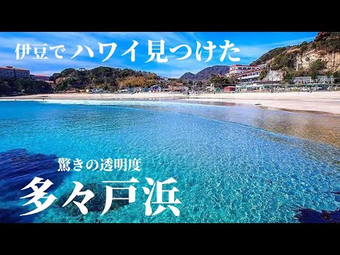 驚きの透明度！伊豆下田にある多々戸海水浴場の情報を徹底解説！駐車場/売店/シャワーはある？