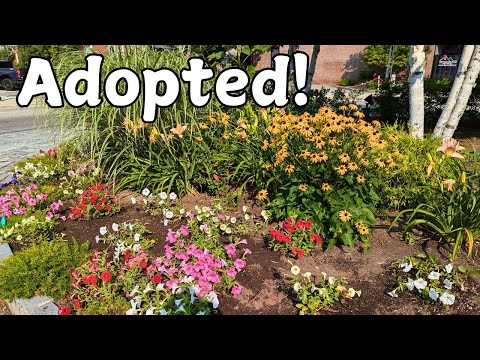 I Adopted a Garden | Roundabout Adopt a Spot || Budget Gardening