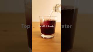 Two Easy Steps to Make a Delicious Red Wine Spritzer Cocktail