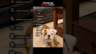 Ranking Dogs Speaking English