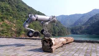Humanoid Robot Unitree B2-W | Dual Mobility Quadruped + Wheels
