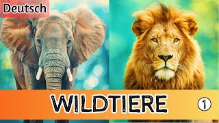 Kennenlernen der Wildtiere: Ein Muss für Kinder! (Teil 1)