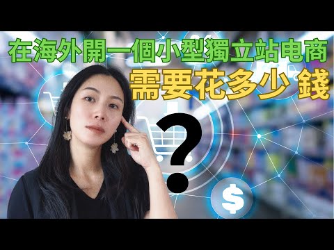 在海外開一個小型獨立站電商需要花多少錢 |  曬我的小店預算表