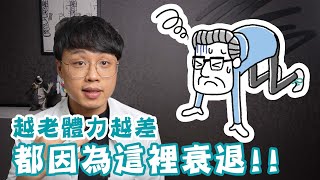 越老體力越差?主要都因這衰退！