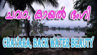ചവറ, കായൽ ഭംഗി  - BACK WATER BEAUTY, CHAVARA, KERALA