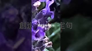 創造金錢肯定句