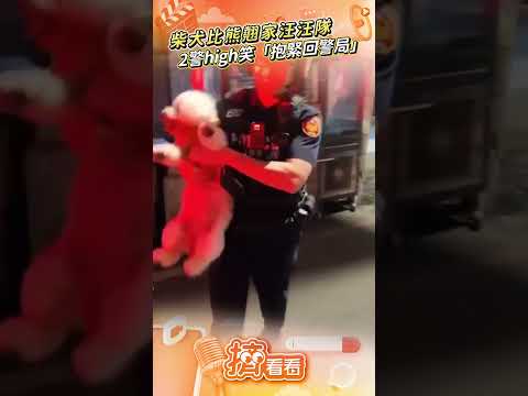 柴犬.比熊組「翹家汪汪隊」　2警笑翻「抱緊上車」:依法帶回警局｜TVBS新聞@tvbsnews24live