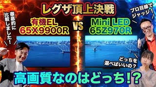 有機EL VS Mini LED液晶 レグザ頂上対決　高画質なのはどっち！？