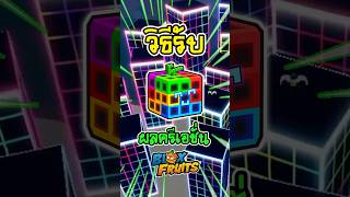 🎲🎮สอนรับ!! ผลครีเอชั่น ผลใหม่ใน Blox Fruits🍉