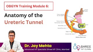 OBGYN Training Module 6- Anatomy of the Ureteric Tunnel | Dr Jay Mehta
