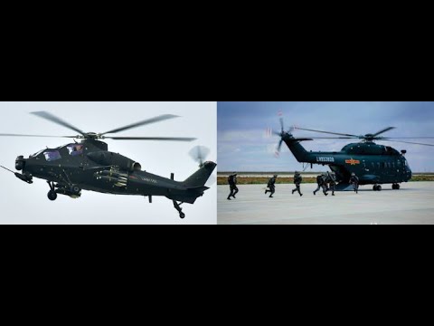 PLA's Air Assault Force