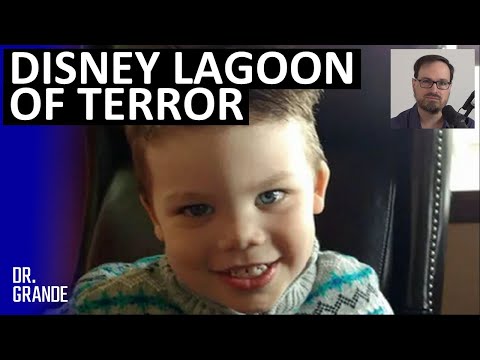 Alligator Kills Boy on Beach at Disney's Grand Floridian Resort | Lane Graves Case Analysis