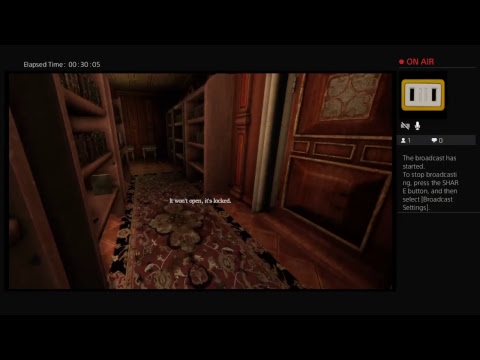 Amnesia Pt:1