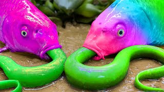 Eel and rainbow fish catch, giant frog | Stop motion cooking ASMR mukbang