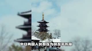 勇救日本孩童的胡友平不幸去世，提请追授“见义勇为模范”#苏州 #日本