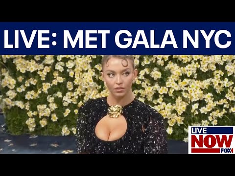 Met Gala 2025 arrivals and red carpet
