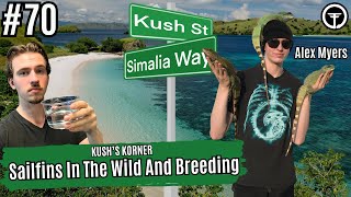 Breeding Sailfins And Herping Sulawesi W/Alex Myers | Kush's Korner Live
