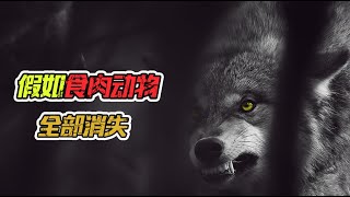 假如食肉动物全部消失，人类会变成什么样？