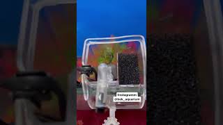 Sobo wp-206H Bek Aquarium 😍🤗👍❤️✅ #akvarium #aquarium #kharezm #neon #fish #guppy