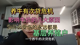 金融行业有金融危机牛行业有次贷危机，到底是那几方面在影响牛价