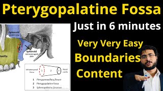 Pterygopalatine fossa | boundaries | content | communications #pterygopalatinefossa #pterygopalatine
