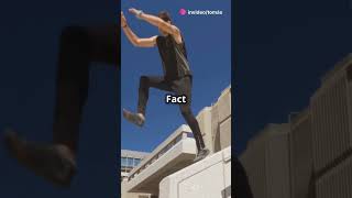 5 random facts about Parkour!!#factlovers #factentusiats #curiousminds #facts #parkour  #random