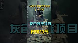灰色网赚项目，月赚30万 #shorts #网赚 #赚钱